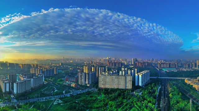 影像金牛